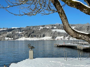 Bergblick-Lounge zentral in Immenstadt